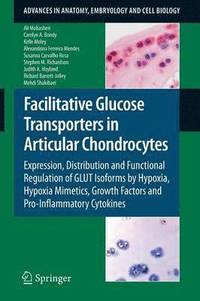 bokomslag Facilitative Glucose Transporters in Articular Chondrocytes