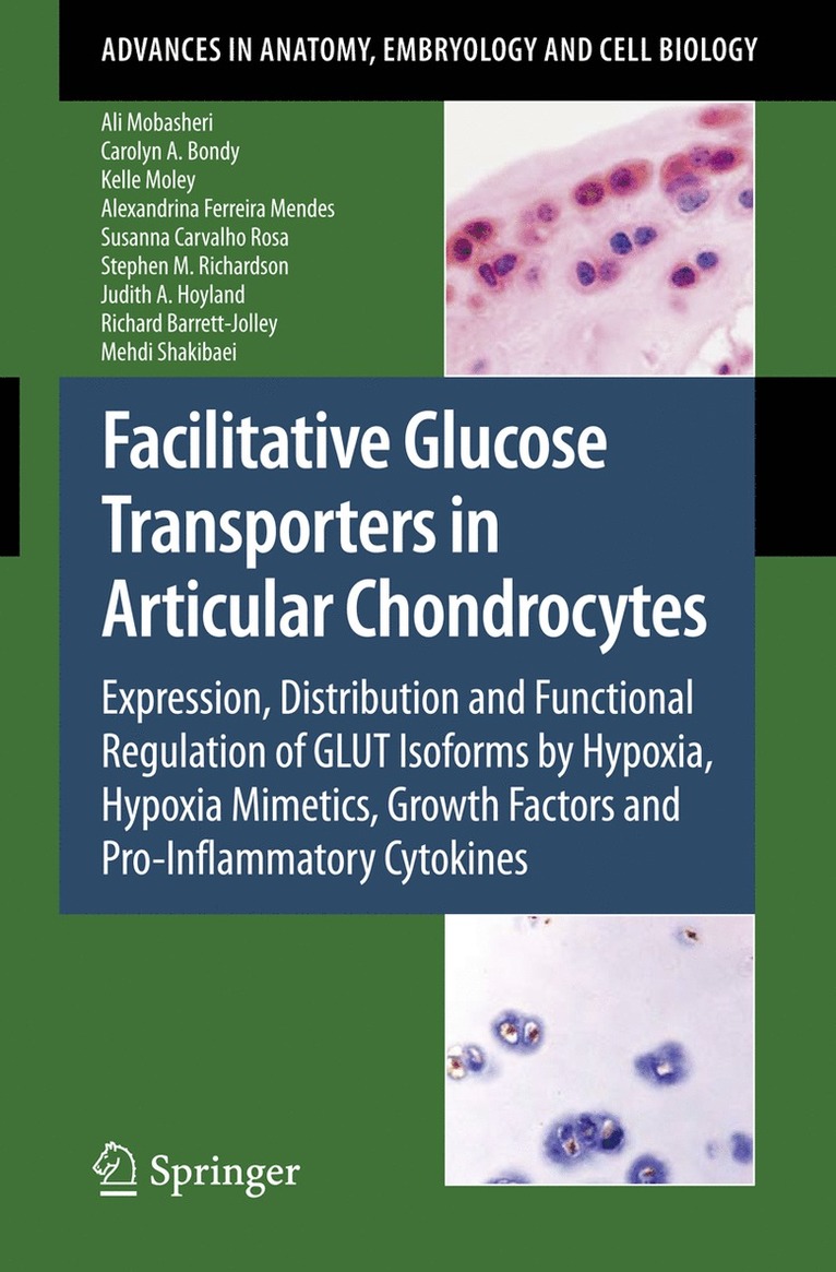 Ali Mobasheri, Carolyn A. Bondy, Kelle Moley, Alexandrina Ferreira Mendes, Susana Carvalho Rosa, Stephen Richardson, Judith A Hoyland, Richard Barrett-Jolley, Mehdi Shakibaei - Facilitative Glucose Transporters in Articular Chondrocytes, Häftad