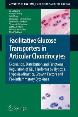 Facilitative Glucose Transporters in Articular Chondrocytes 1