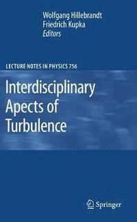 bokomslag Interdisciplinary Aspects of Turbulence