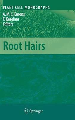 Root Hairs 1