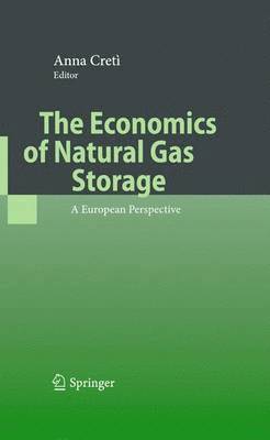 bokomslag The Economics of Natural Gas Storage