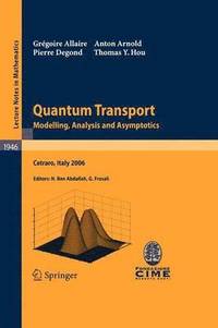 bokomslag Quantum Transport