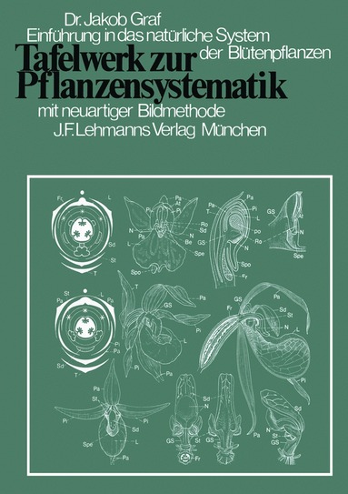 bokomslag Tafelwerk zur Pflanzensystematik