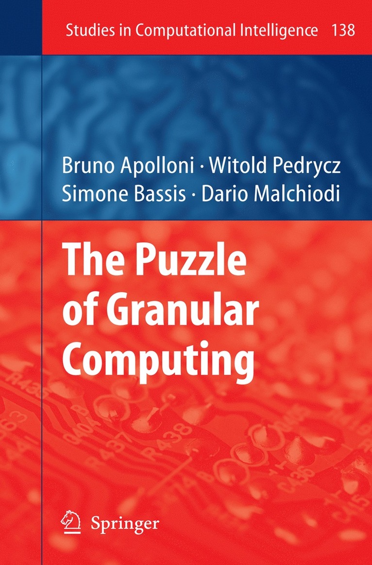 The Puzzle of Granular Computing 1