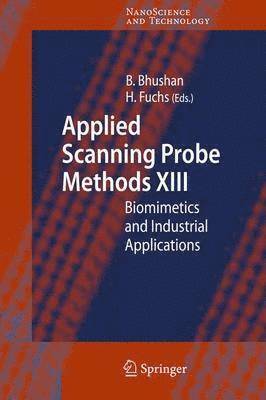 bokomslag Applied Scanning Probe Methods XIII