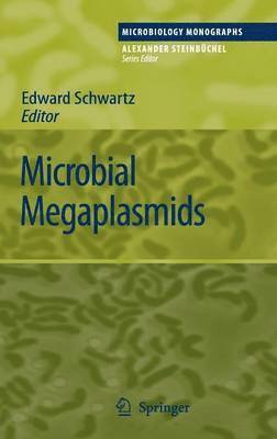 bokomslag Microbial Megaplasmids