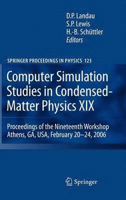 bokomslag Computer Simulation Studies in Condensed-Matter Physics XIX