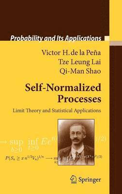 Self-Normalized Processes 1