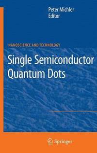 bokomslag Single Semiconductor Quantum Dots