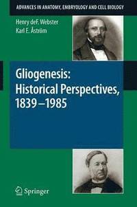 bokomslag Gliogenesis: Historical Perspectives, 1839 - 1985