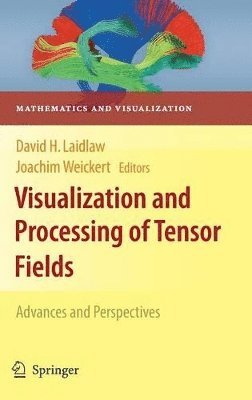 bokomslag Visualization and Processing of Tensor Fields