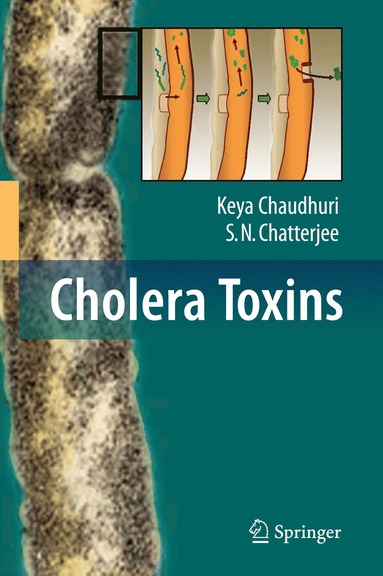 bokomslag Cholera Toxins