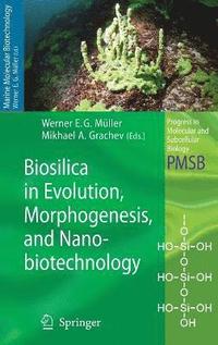 bokomslag Biosilica in Evolution, Morphogenesis, and Nanobiotechnology