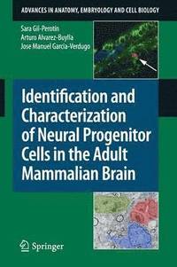 bokomslag Identification and Characterization of Neural Progenitor Cells in the Adult Mammalian Brain