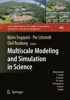 bokomslag Multiscale Modeling and Simulation in Science