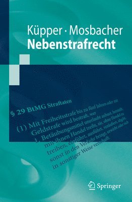 bokomslag Nebenstrafrecht