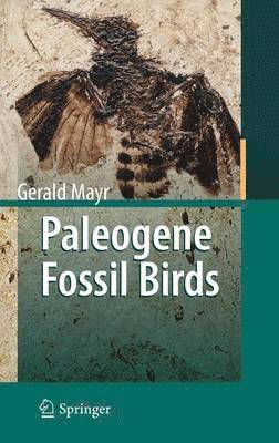 Paleogene Fossil Birds 1