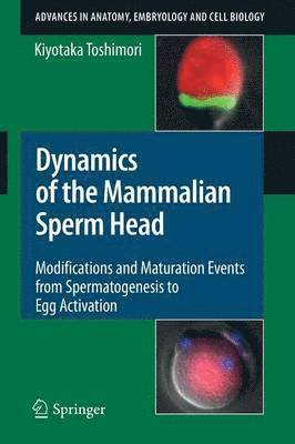 bokomslag Dynamics of the Mammalian Sperm Head