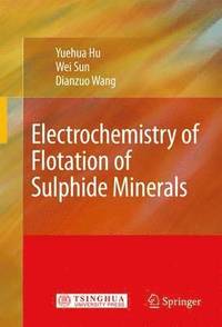 bokomslag Electrochemistry of Flotation of Sulphide Minerals