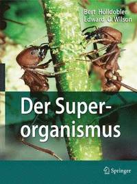 bokomslag Der Superorganismus