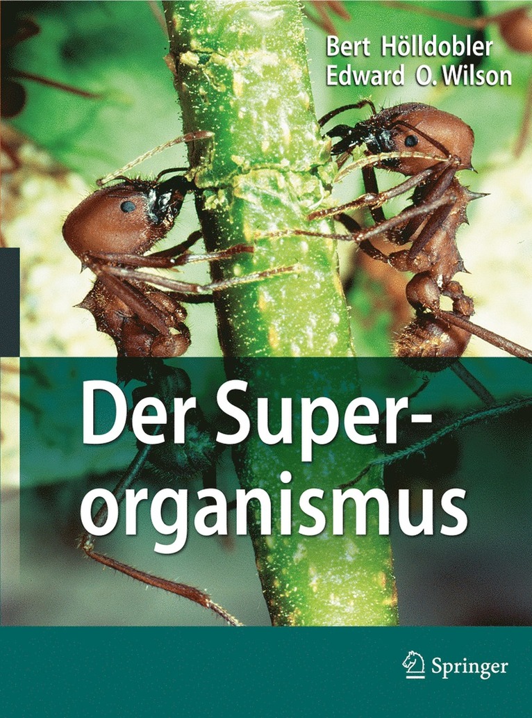 Bert Hölldobler, Edward Wilson - Der Superorganismus, Inbunden
