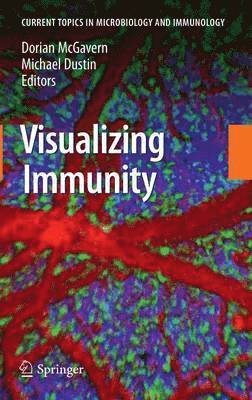 bokomslag Visualizing Immunity