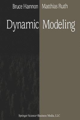 bokomslag Dynamic Modeling