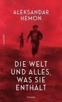Aleksandar Hemon - Die Welt und alles, was sie enthält, Inbunden