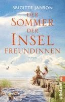 bokomslag Der Sommer der Inselfreundinnen