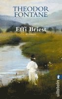 bokomslag Effi Briest