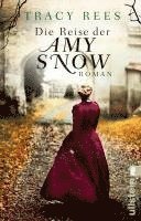 bokomslag Die Reise der Amy Snow