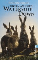 bokomslag Unten am Fluss - 'Watership Down'