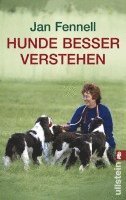 bokomslag Hunde besser verstehen