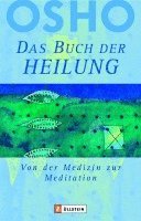 bokomslag Das Buch der Heilung