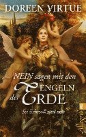 bokomslag NEIN sagen mit den Engeln der Erde