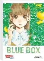 bokomslag Blue Box 4
