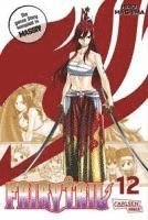 bokomslag Fairy Tail Massiv 12