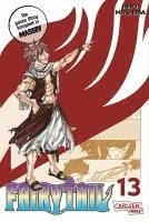 bokomslag Fairy Tail Massiv 13