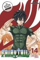 bokomslag Fairy Tail Massiv 14