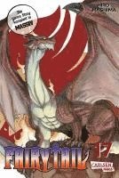 bokomslag Fairy Tail Massiv 17