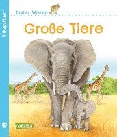 bokomslag Unkaputtbar: Erstes Wissen: Große Tiere