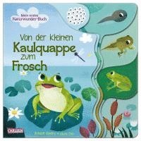 Annabel Savery - Von der kleinen Kaulquappe zum Frosch, Kartonnage