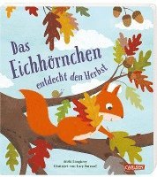 bokomslag Das Eichhörnchen entdeckt den Herbst