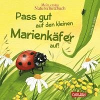 bokomslag Pass gut auf den kleinen Marienkäfer auf