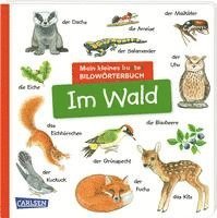 Mein kleines buntes Bildwörterbuch: Im Wald 1