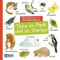 Mein kleines buntes Bildwörterbuch: Tiere im Park und im Garten 1