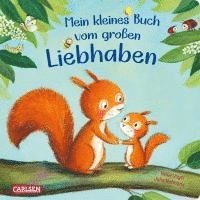 bokomslag Mein kleines Buch vom großen Liebhaben