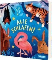 Elsa Klever - Alle schlafen!, Kartonnage