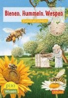 bokomslag VE 5: Bienen, Hummeln, Wespen